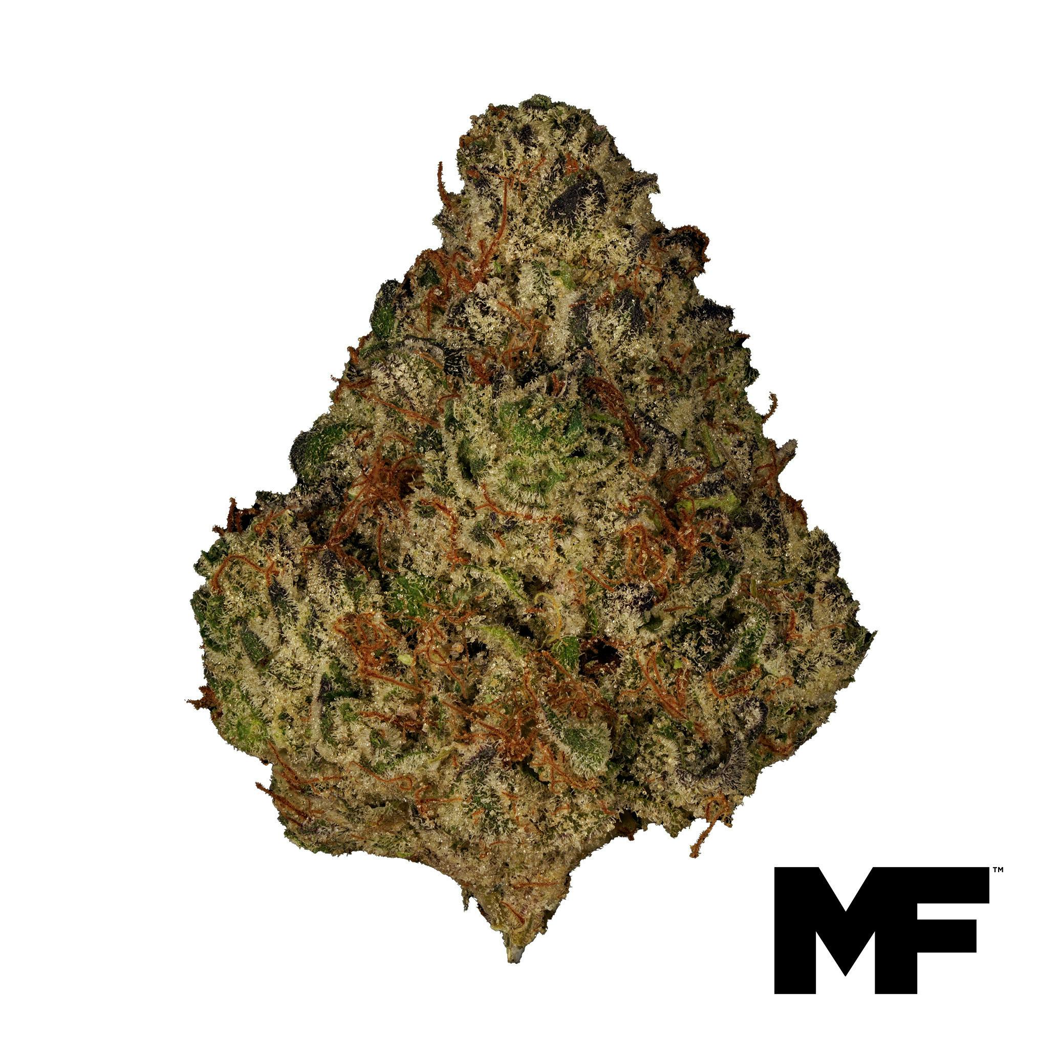 Martian Mellows Flower - 1371518