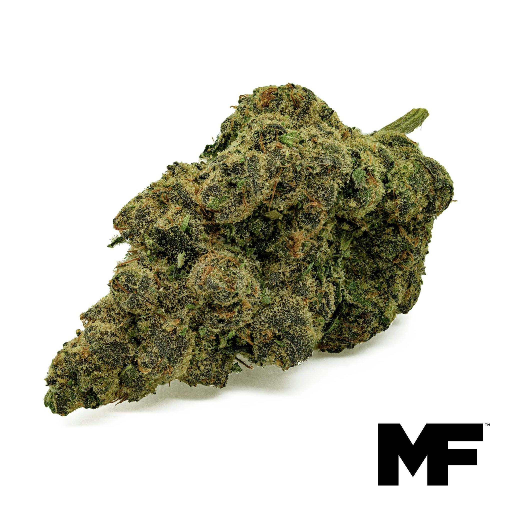 Funk Mountain Flower - 1270906