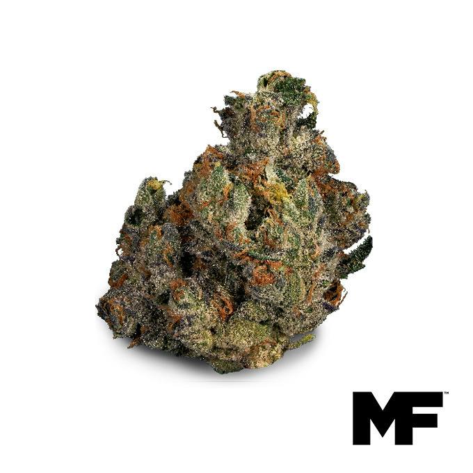 Brr Berry Flower - 1371765