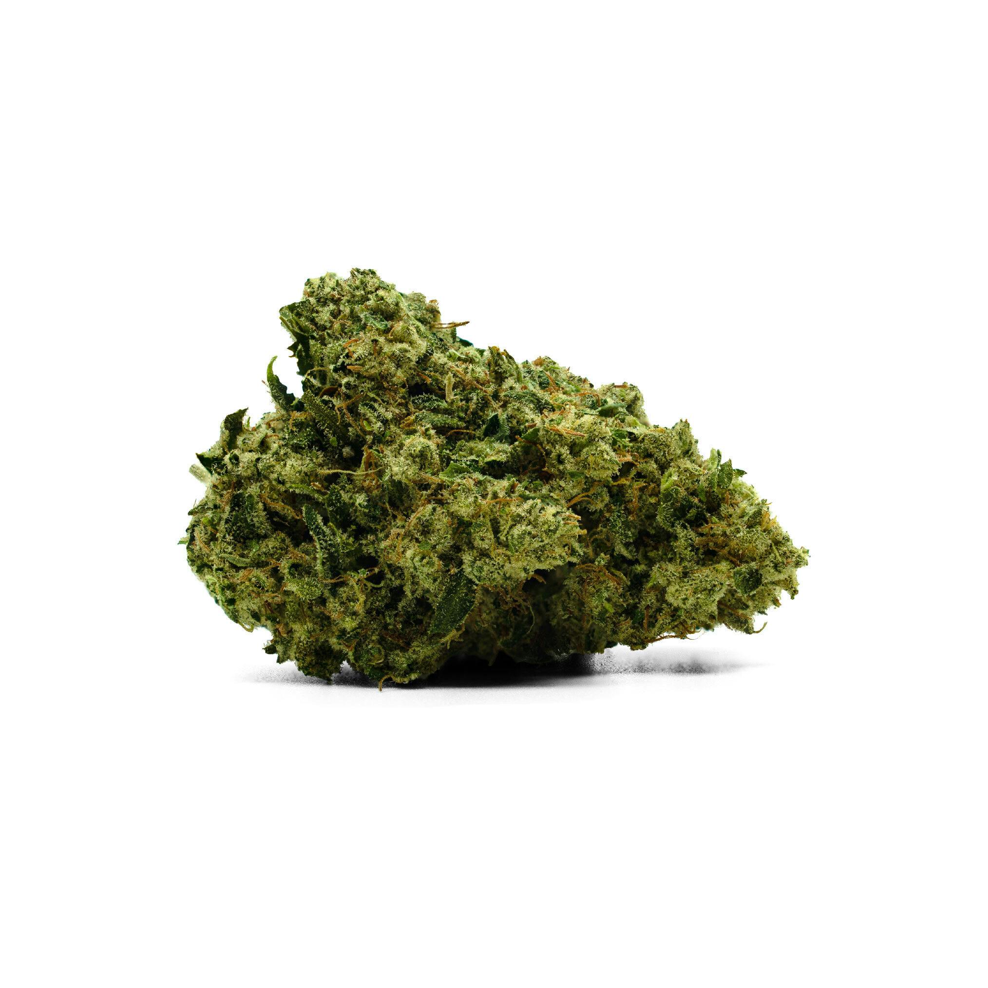 Governmint Oasis Flower