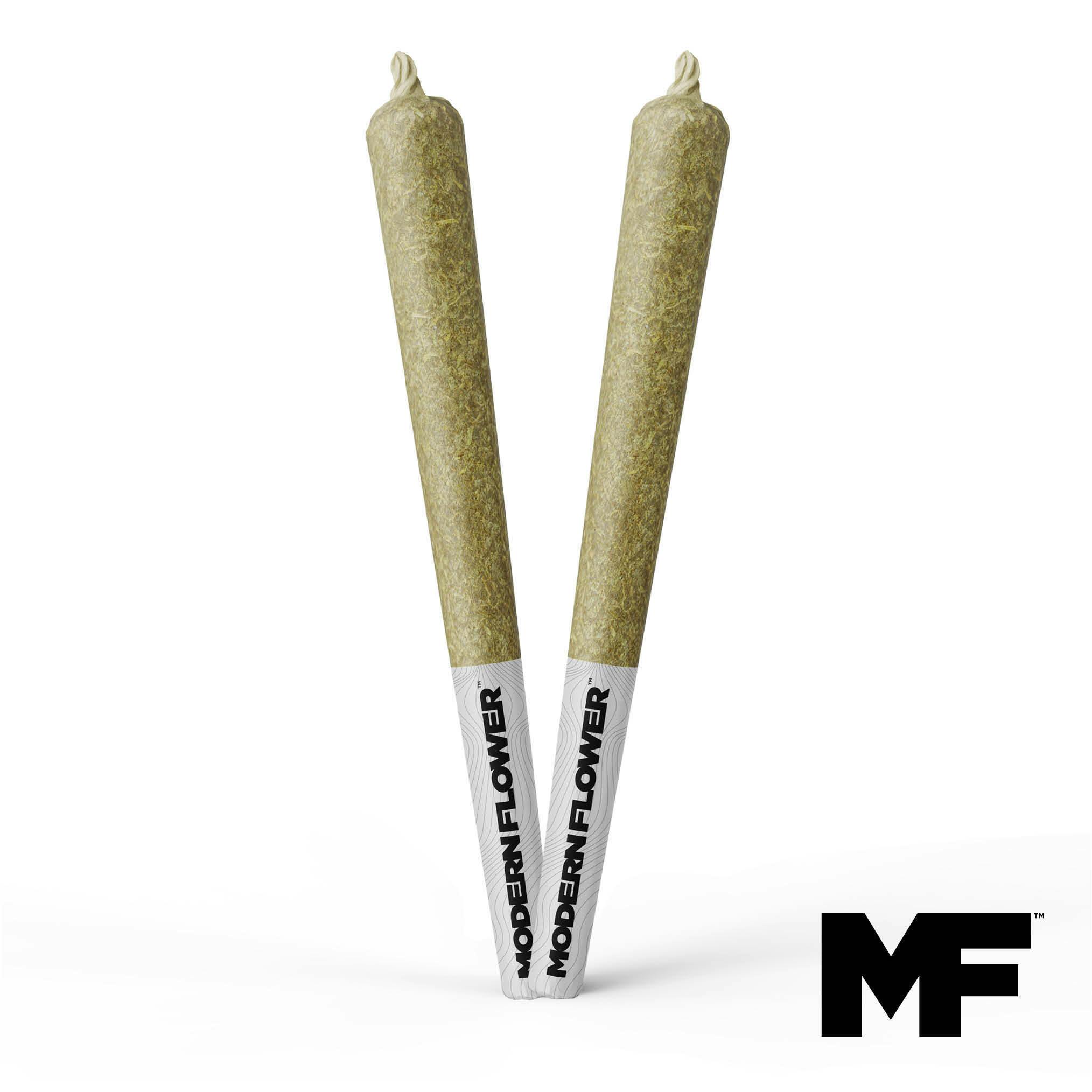 Bionic Chronic Pre-Roll 2pk - 1393902