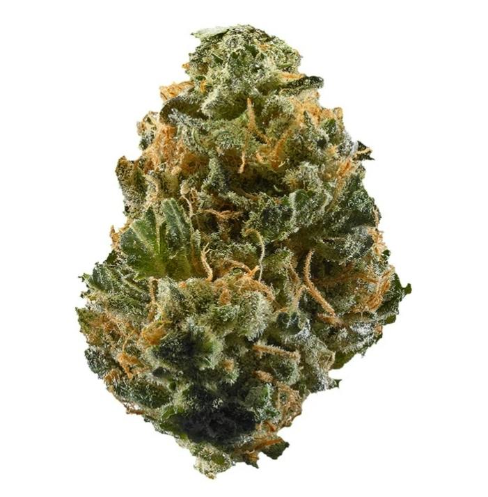 Sativa Bud (Rotational)