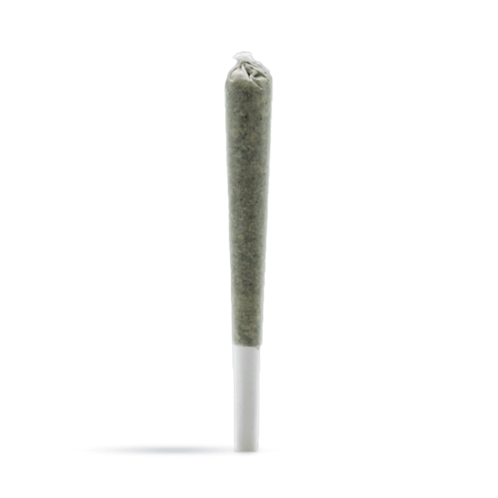 Rosin Roll (Single)