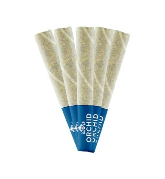 Jean Guy CBD 1:1