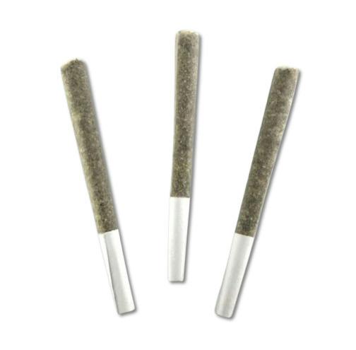 Tahoe OG 3-Pack