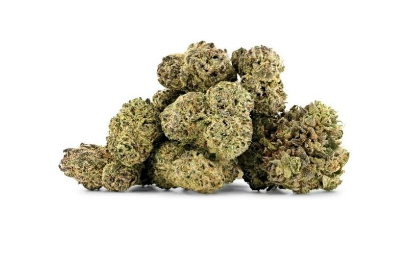 Kryptonite Smalls LTO
