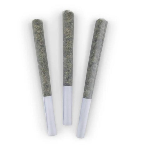 Chocolope 3-Pack