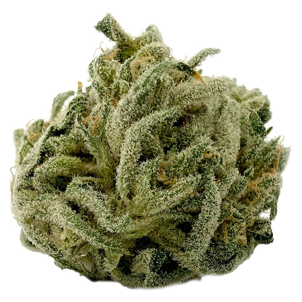 Cookies N' Cream