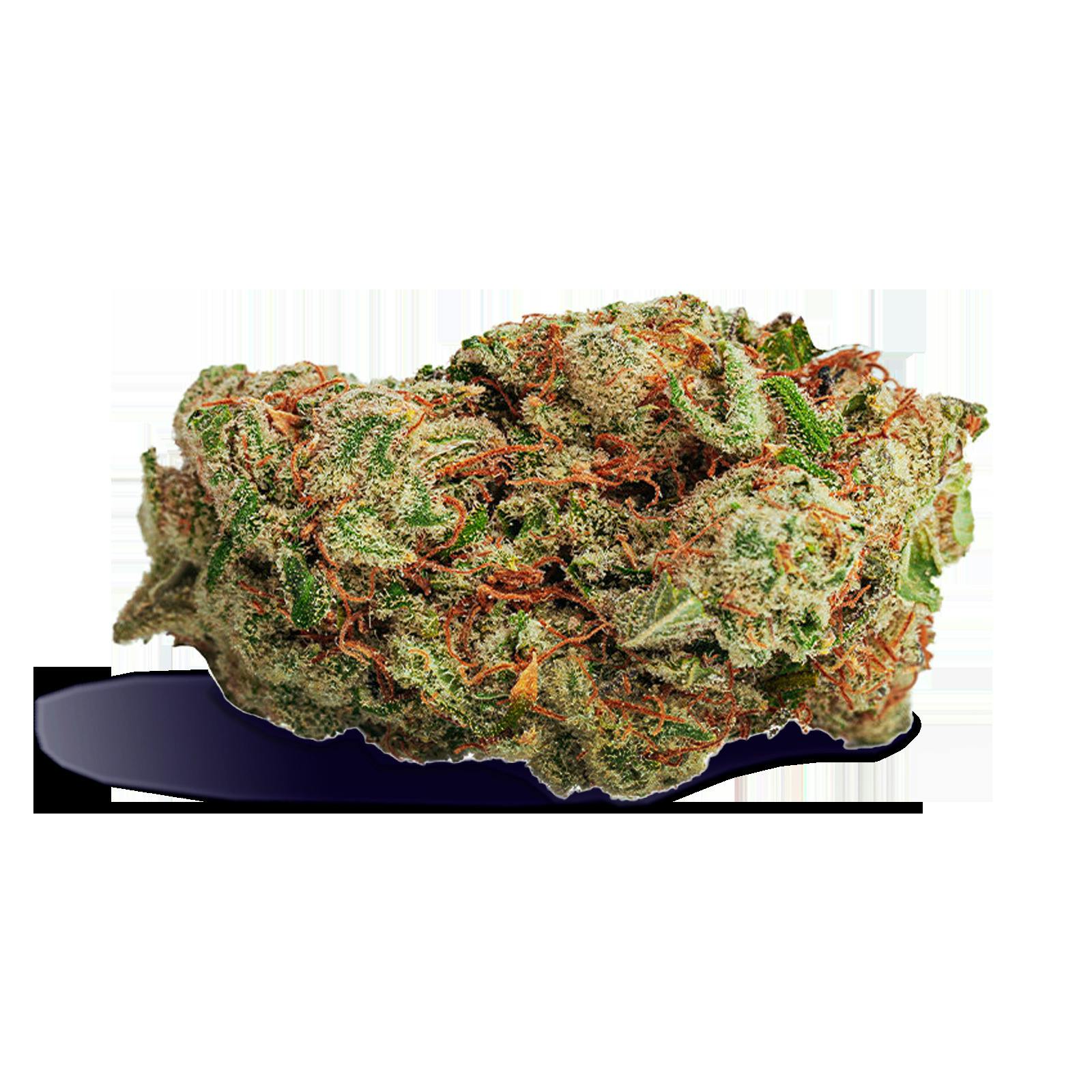 zktlz glue