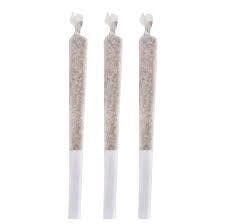 Seeker - Infused Pre-Roll