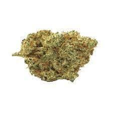 Sun County Kush