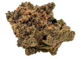 Gas Bag 1g Dried Flower / - Gas Bag 1g Dried Flower