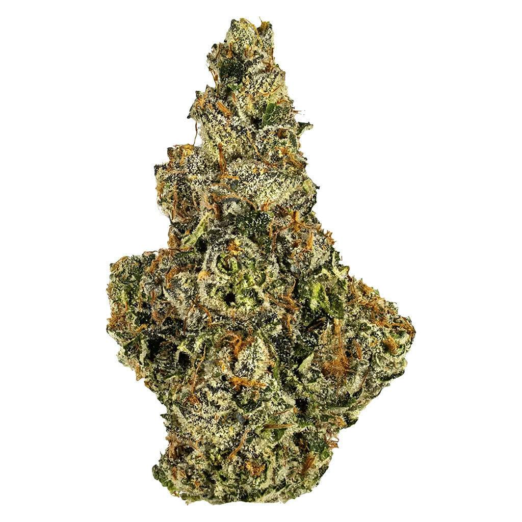 Lemon Shortcake 7g Dried Flower