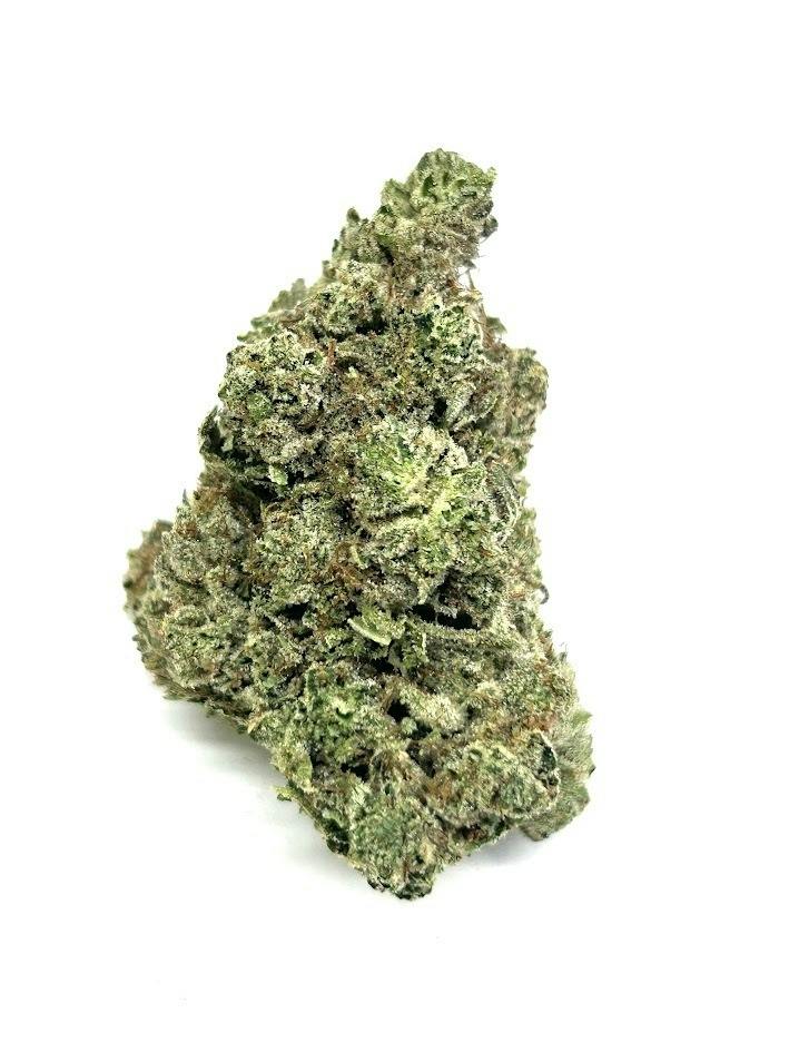 GG 4 (Sour Dubb x Chocolate Diesel)
