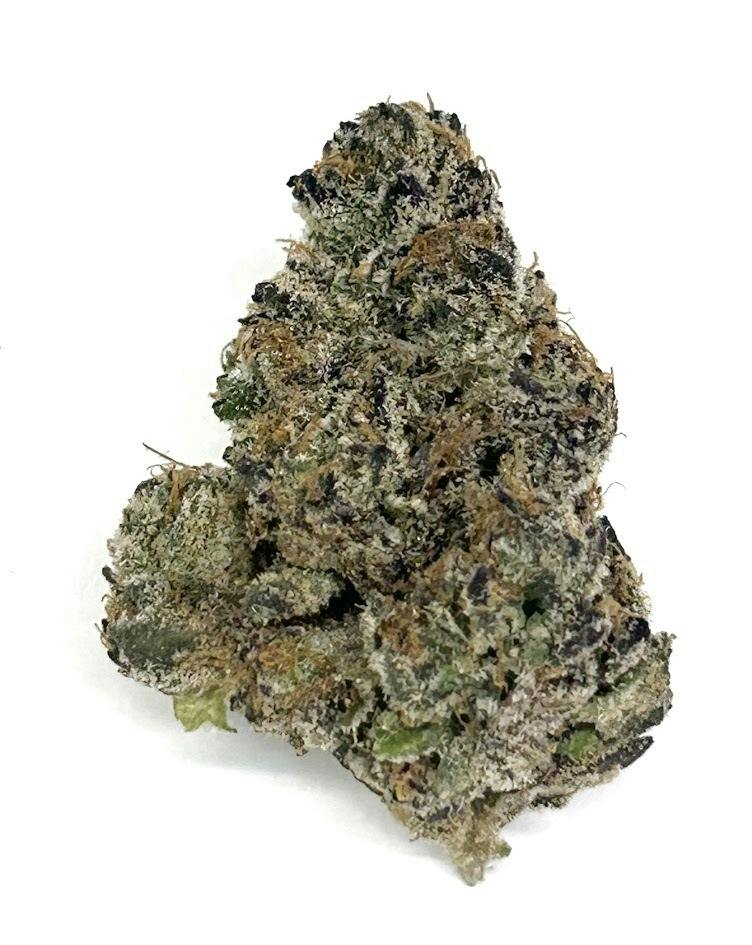Jelly Cake (Biscotti x Sunset Sherbet)