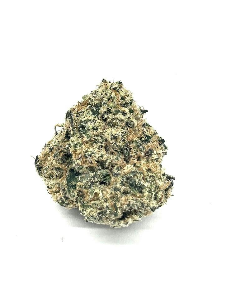 Mint Tao (7G)