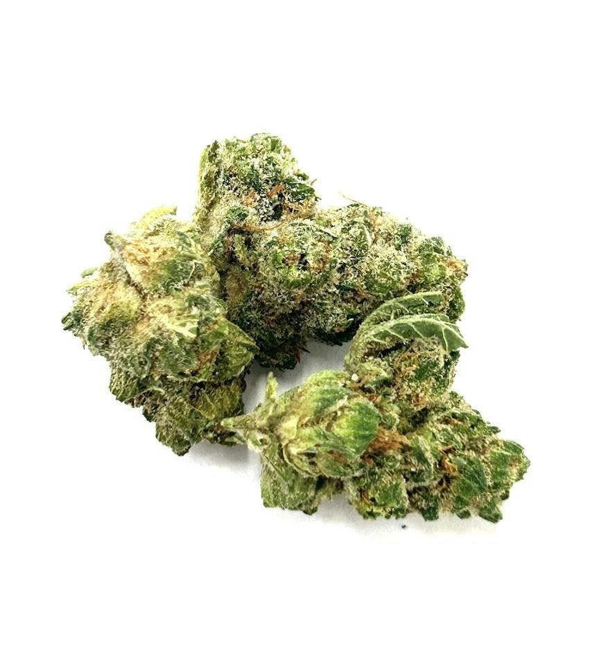 Daily Grape (14G)