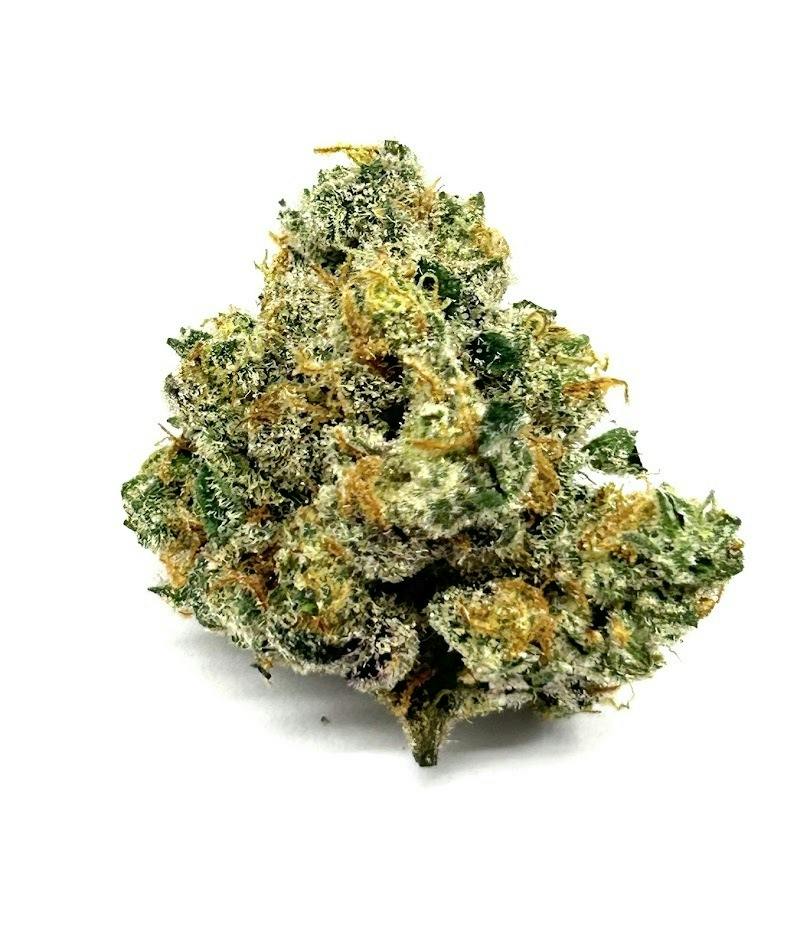 Tallymon (3.5G)