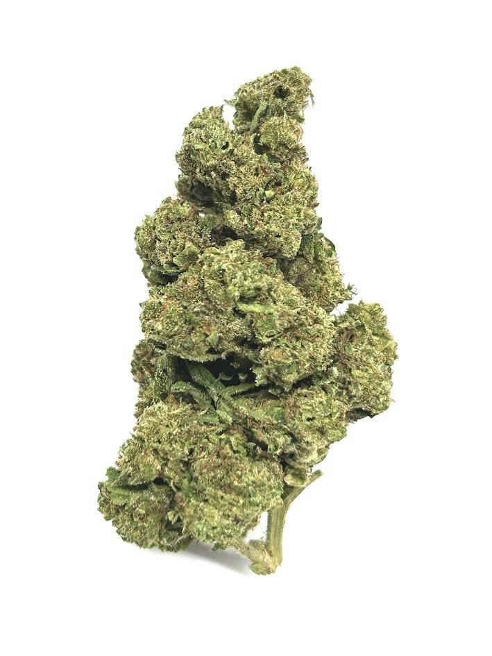 GUAVA (28G)