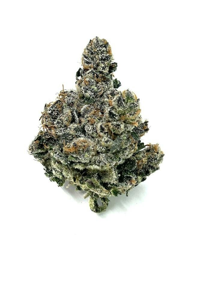 Lava Frost (3.5G)