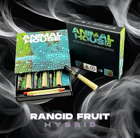 Rancid Fruit | 3.5g | 7pk