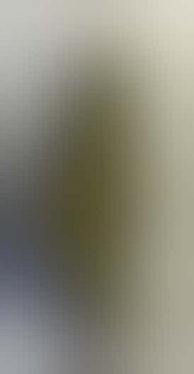 CWY - Oreoz (1/8) - Hybrid