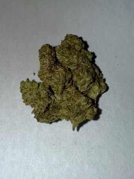TRUFORIA - Double Solo Burger Flower (1/8) - SATIVA