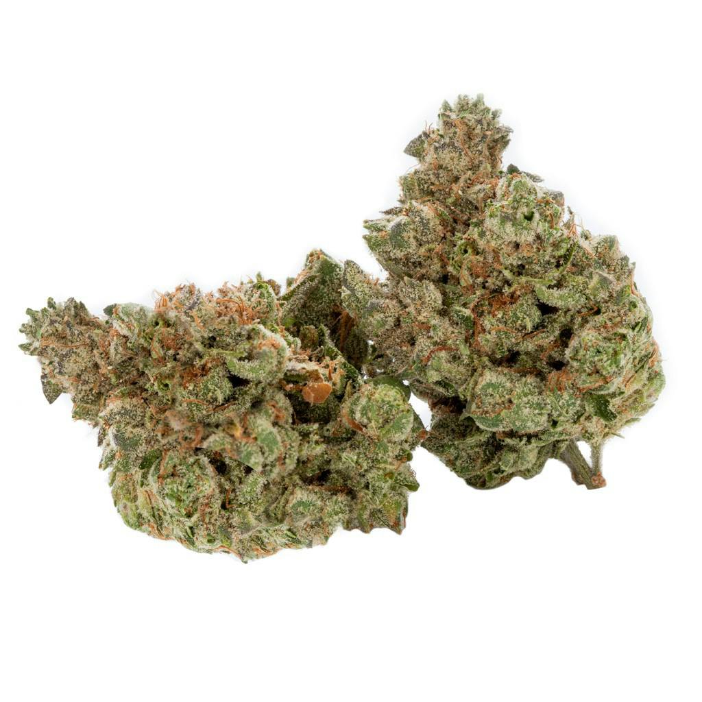 Cactus - Black Triangle - Indica - 3.5g