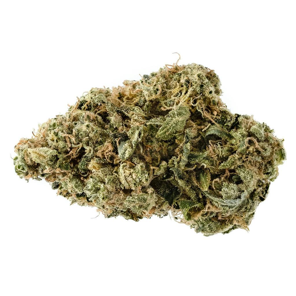 Garden City Cannabis - Niagara's Craft EL FUEGO - Indica - 3.5g