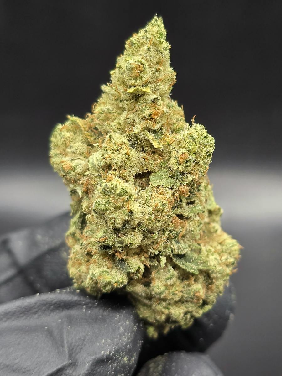 Gg4