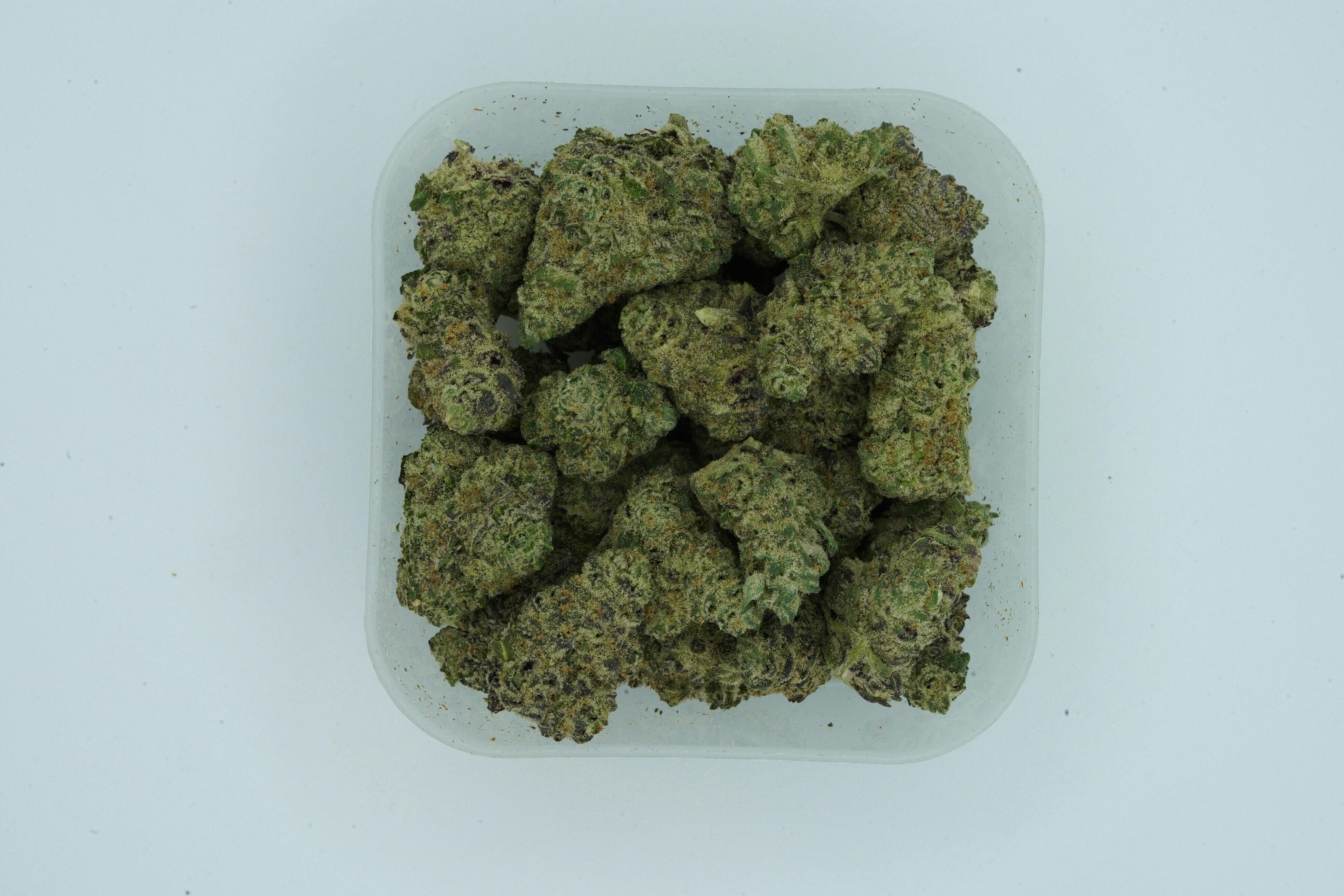 High Neighbor Flower Baja Gold
