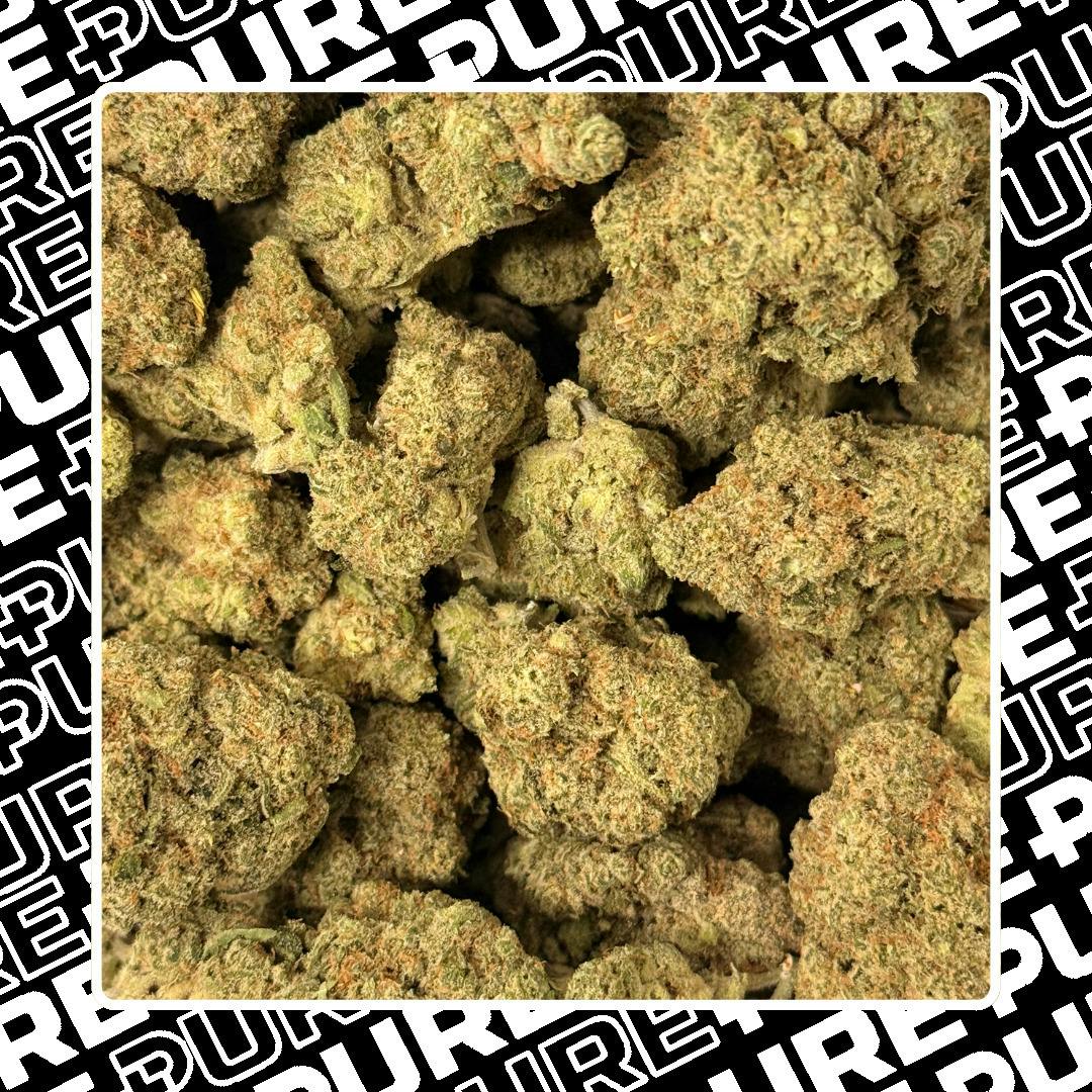 G13