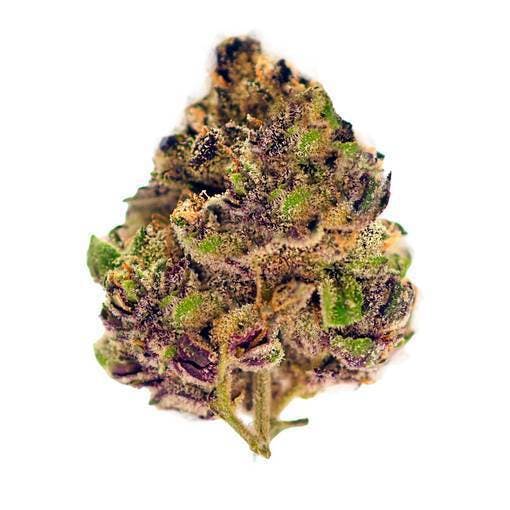 Cereal Milk Ground Flower 14g