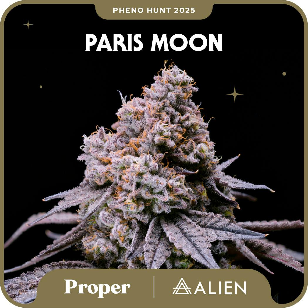 Paris Rock Candy x Moonbow 112 IX #2
