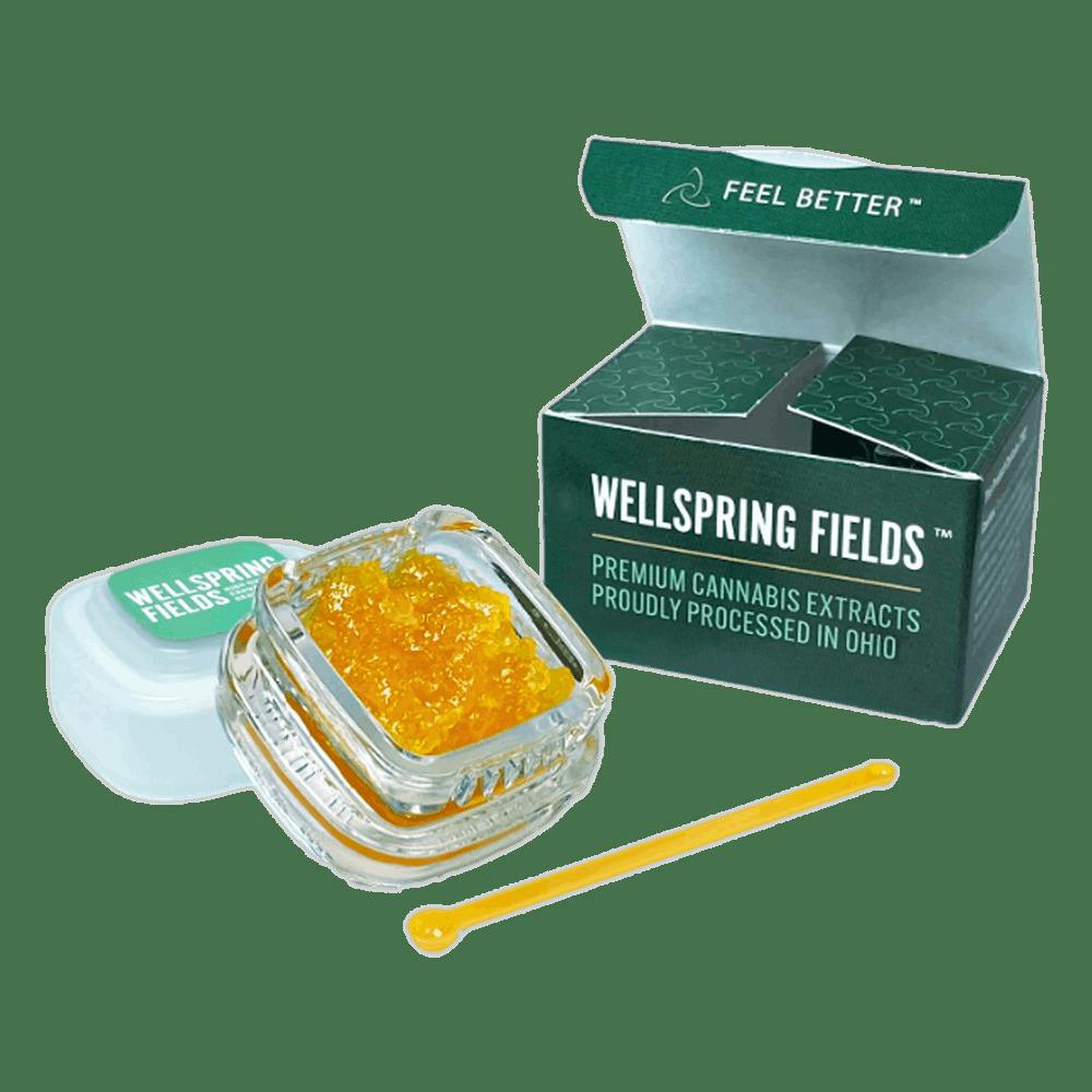 Wellspring Fields - Dumb Gas - Sol 1G LR Indica