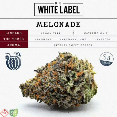White Label Melonade 2.83g Sativa Flower at Nectar