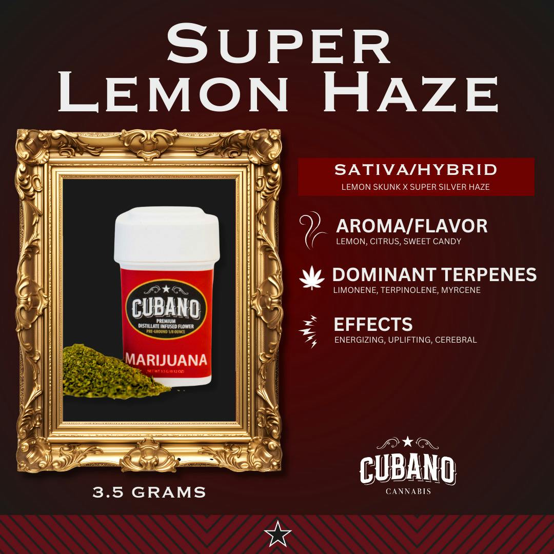 Cubano Super Lemon Haze