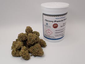 Cherry Punch Flower - S 7G FH