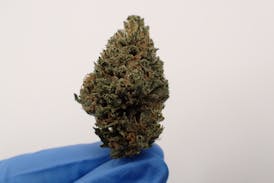 Fire Bubble Flower - I 3.5G FH