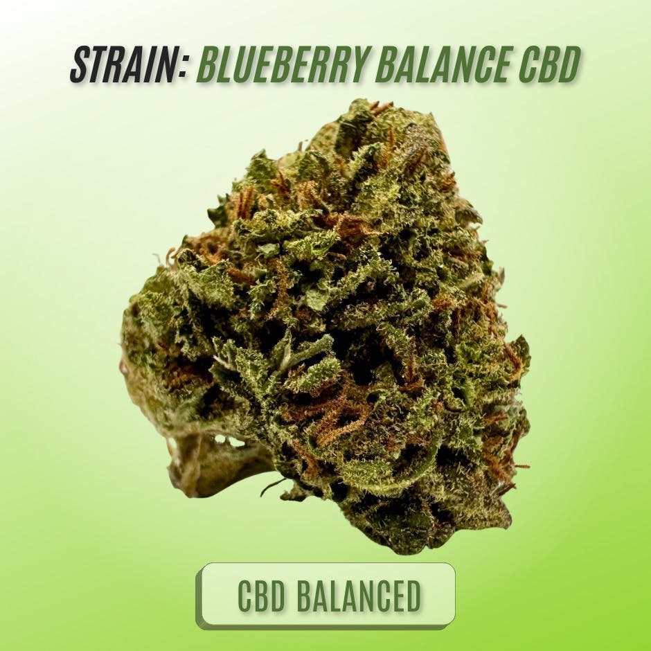 BLUEBERRY: Blueberry Balance CBD (East Fork Cultivars)