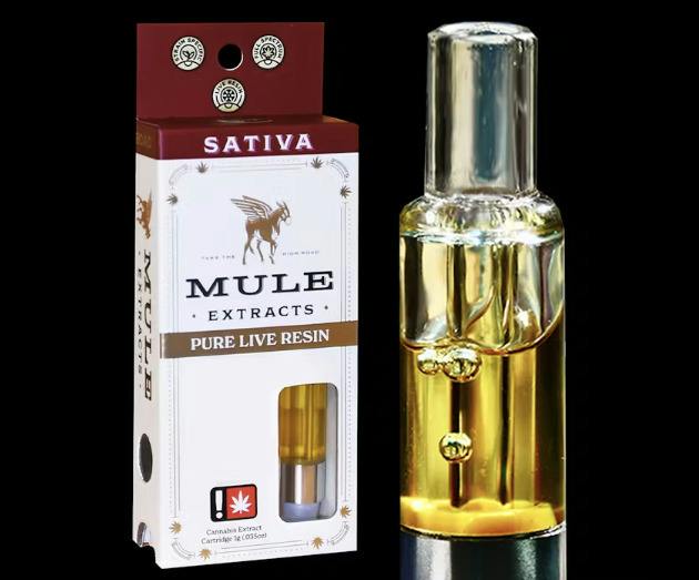 Mule: Texas Budder - Lr Glass