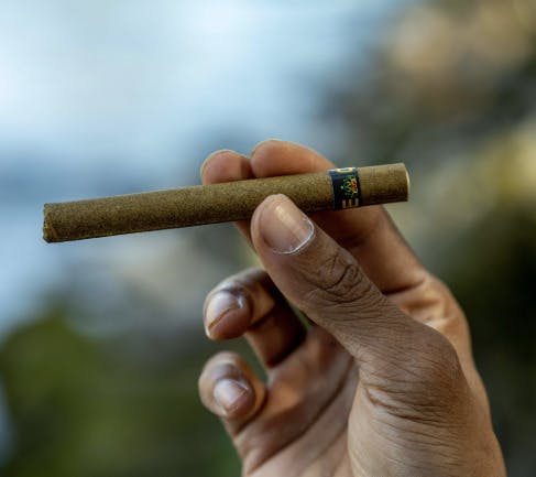 Cascade Valley -: Dirty Laundry - Blunt