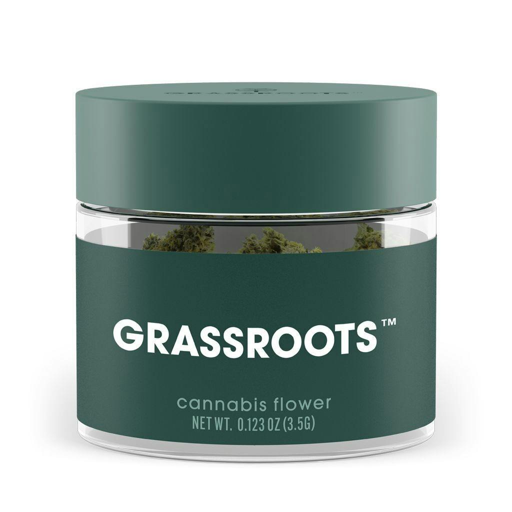 Grassroots Golden Sands Whole Flower 3.5g at Curaleaf Dispensary Ellsworth