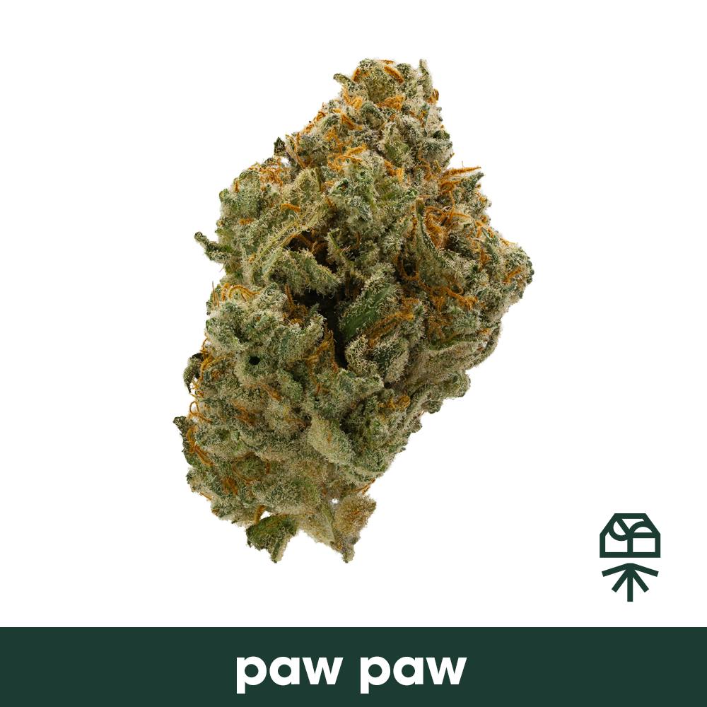 Grassroots Paw Paw Whole Flower 14g