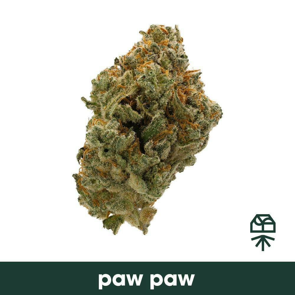 Grassroots Paw Paw Whole Flower 3.5g at Curaleaf Dispensary Ellsworth