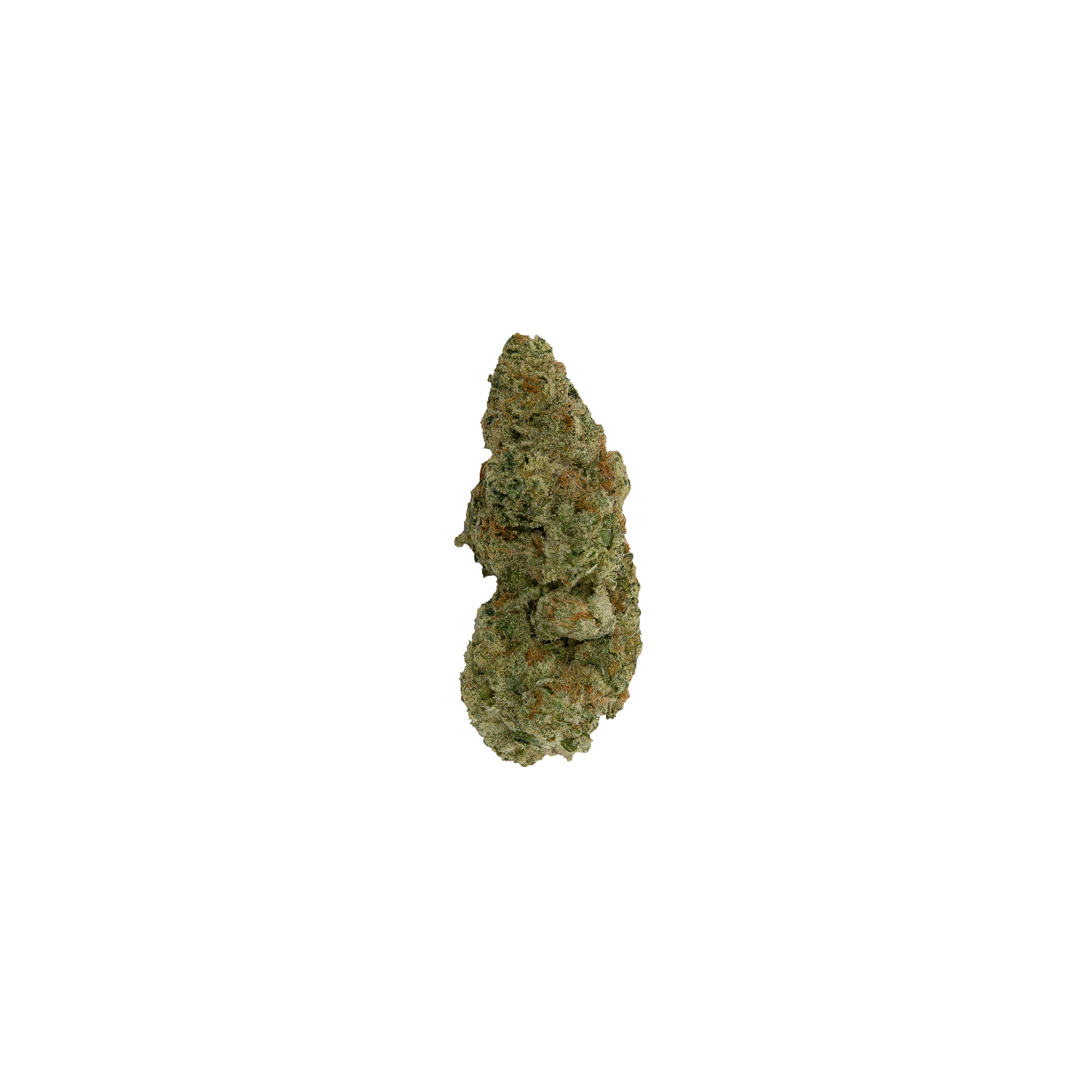 Book Club Cactus Licker 3.5g