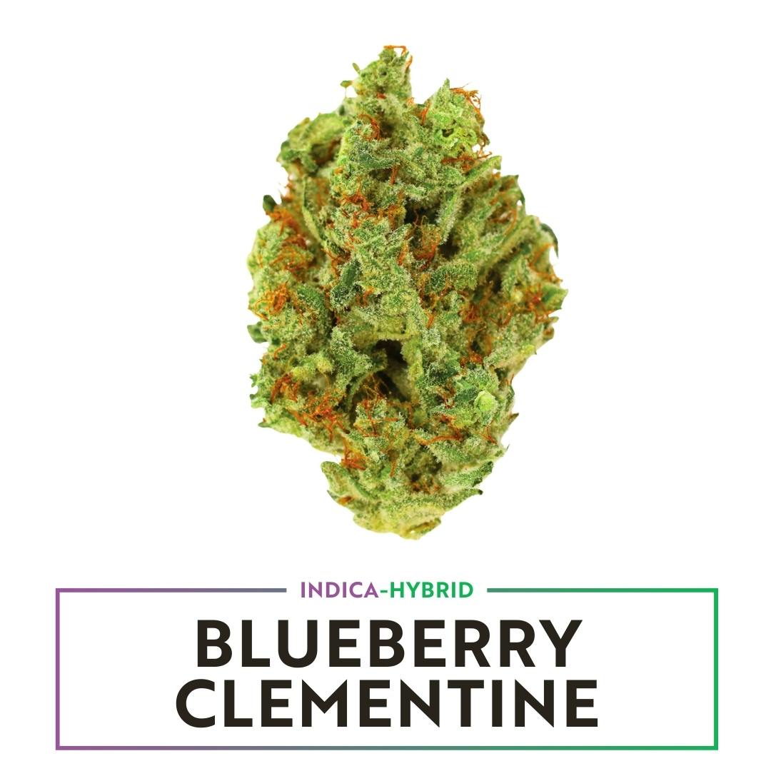 Amaze - Blueberry Clementine - Deli Flower
