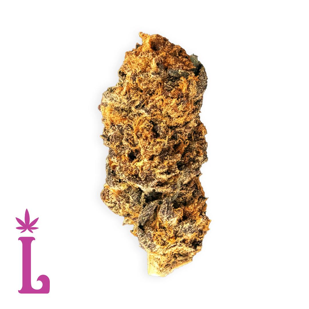 Purple Apricot Flower