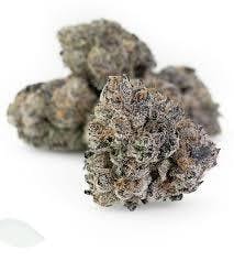 War Headz Smalls Bulk (OG)