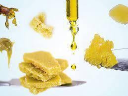 Raiders - - Gelato 41